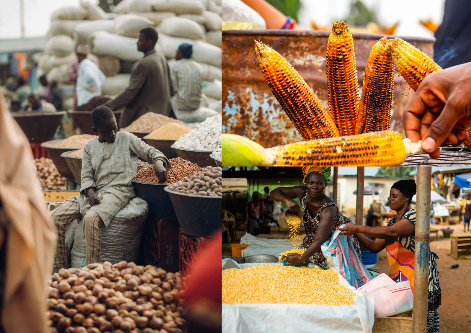 Photo collage of maize markets and grain trade across Ghana, Nigeria, Kenya, and South Africa.
